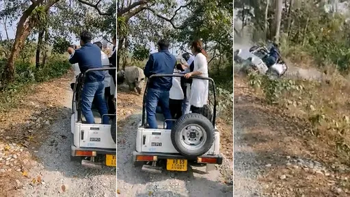 你再拍！犀牛雙煞「憤怒衝鋒」攻擊　遊客急逃翻車8傷