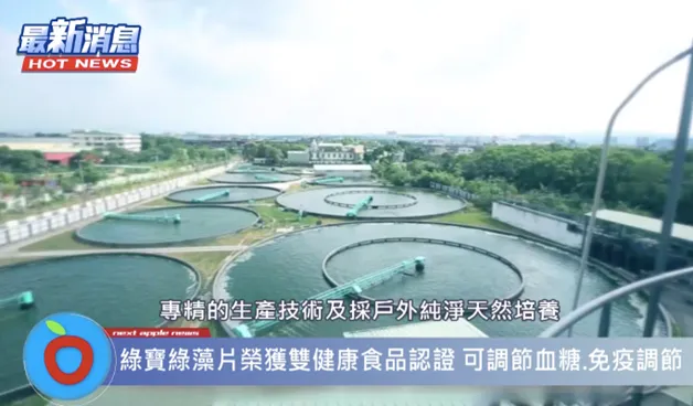 綠寶綠藻片為戶外純淨天然培養的藻類，可安心食用，補充多種人體需要的營養成分。