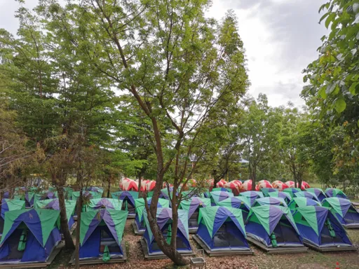 獨家|300學生罰跪事件嚇退!高雄某國中露營喊停 竟是同旅行社承攬且營地無照