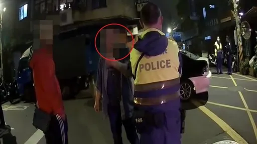 兄弟口角遭諷「你只敢砸自家的車」　弟耍狠砸鄰居2車、哥酒駕移車雙雙法辦