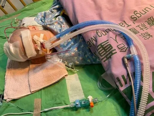 虐死1歲童還偽造照護日誌 台中惡保母起訴!將由國民法官審理