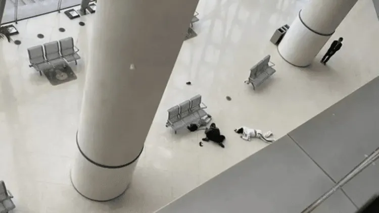 翻攝自《今日頭條》