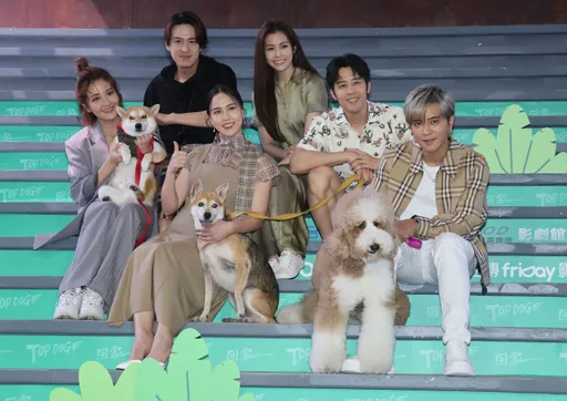 胡宇威談與陳庭妮婚期 小豬送走狗狗最難熬的點竟然是這個