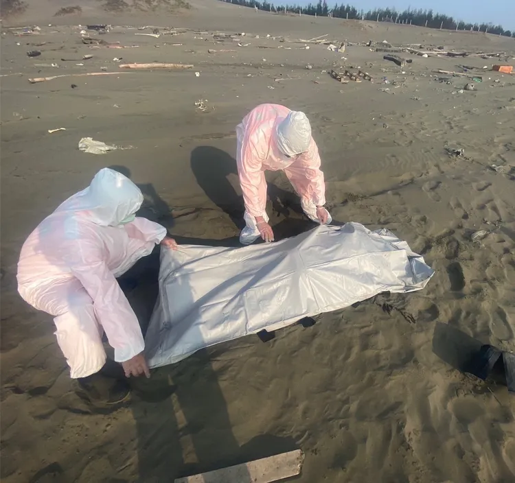 仍有多具浮屍身分待查。翻攝畫面