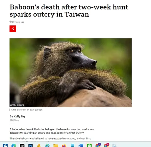 台灣「狒死事件」登BBC了！ 網搖頭：丟臉丟到國際上