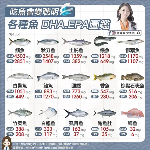 專家揭DHA最高的魚!網吃驚:沒想到便宜又營養 這4種魚小孩孕婦別多吃