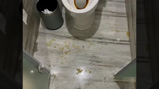 五星飯店房客如廁「被糞水噴滿身」 業者認了沒在檢查不知馬桶有問題