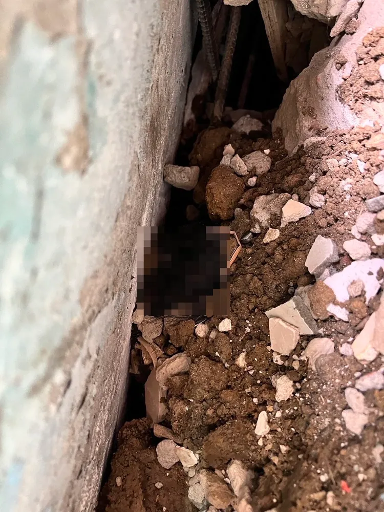 發現陳姓工人的頭髮。民眾提供