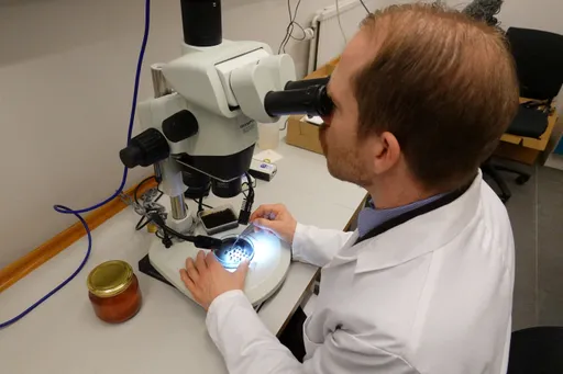 憂中國危及國安 英國去年擋下1104海外學者