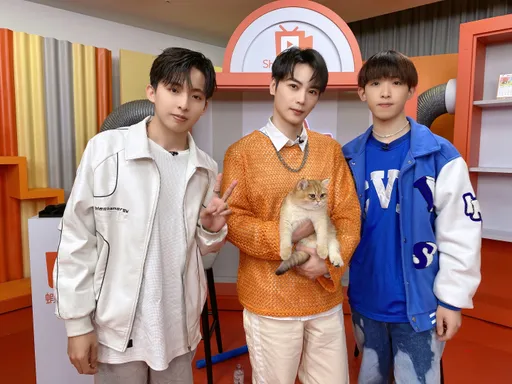 古曜威超可愛萌貓搶鏡 粉絲敲碗拱出道比主人還受歡迎