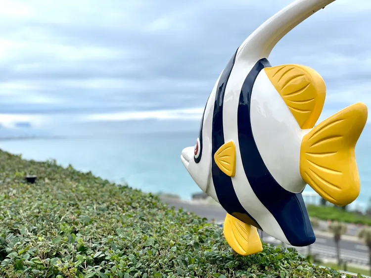 遠雄海洋公園邁向20年之際全面進行改裝，全新規劃8大主題園區、4大必看表演。曾仲葳攝