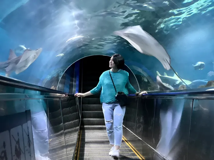 園區耗資千萬打造軟、硬體設施，結合海洋生物，透過光、影變化，讓遊客猶如置身海洋的奇幻空間。曾仲葳攝