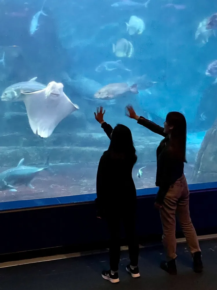 園區耗資千萬打造軟、硬體設施，結合海洋生物，透過光、影變化，讓遊客猶如置身海洋的奇幻空間。曾仲葳攝