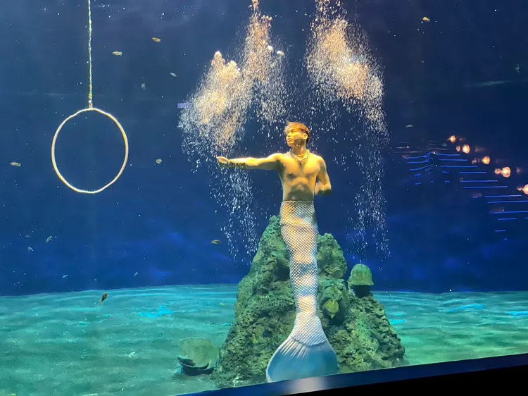 2.0版人魚實境表演華麗回歸，並引進全台唯一美男魚。曾仲葳攝