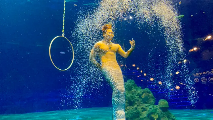 2.0版人魚實境表演華麗回歸，並引進全台唯一美男魚。曾仲葳攝