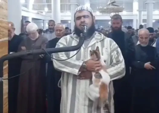 教長耐心安撫小貓。翻攝臉書