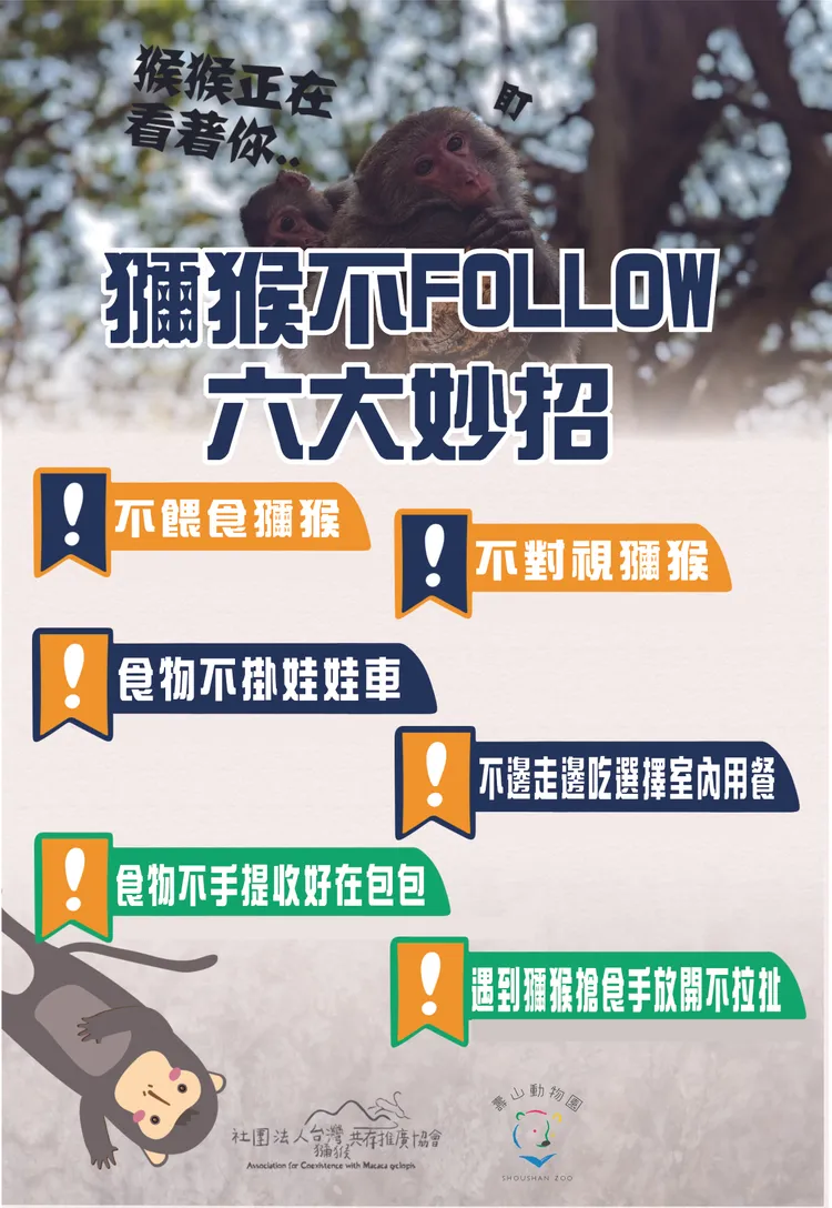 獼猴不FOLLOW 6大妙招宣導圖卡。高雄市觀光局提供