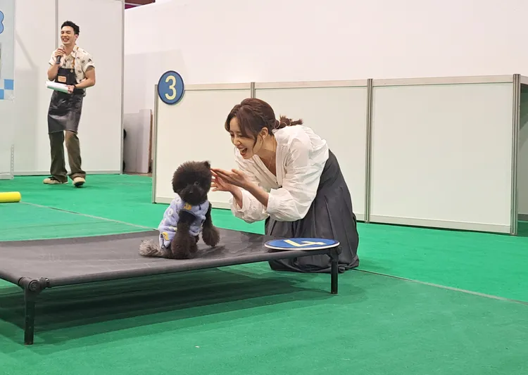 荳荳的愛犬挑戰寵物競賽。台視提供