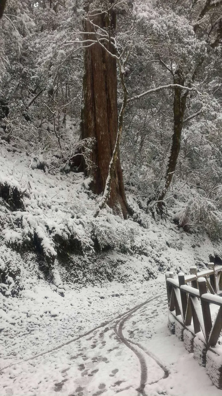 拉拉山雪景。新竹林管處提供