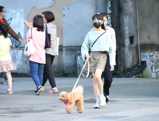 動保法修正四大面向!加重虐待刑責 授予動保員情急下得進私領域