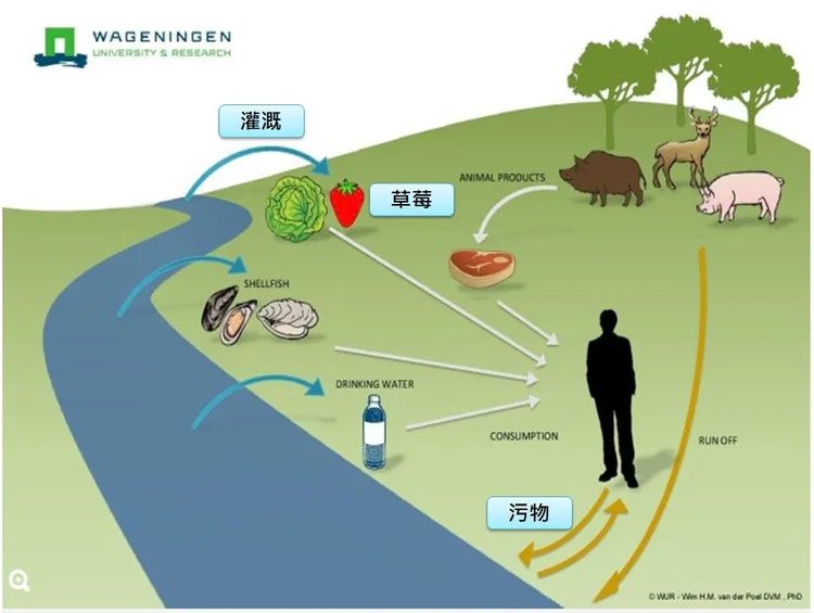 翻攝自許秉毅臉書