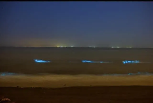 因海水將夜光藻推送到南防波堤邊，有水波拍打岸邊，就有機會觀賞到藍色螢光。翻攝自黃偉哲臉書