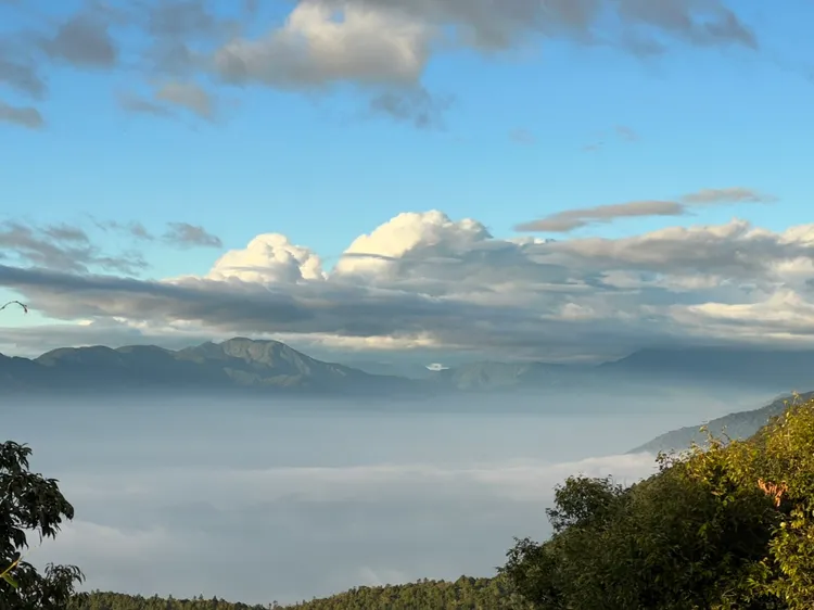由藤枝森林遊樂區瞭望台觀賞雲海美景。讀者提供