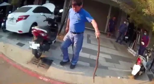 高雄市區驚見大蛇鑽入車　專家徒手一抓！拉出1.5公尺巨毒眼鏡蛇