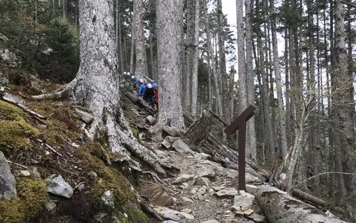 登大霸尖山高山症發作 男山友身亡!救難人員搬運遺體下山