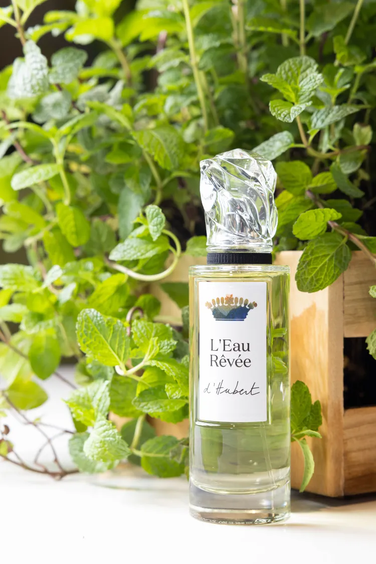 #d’Hubert修伯特呈現天竺葵與綠色紫蘇組成的綠色植物香調。品牌提供