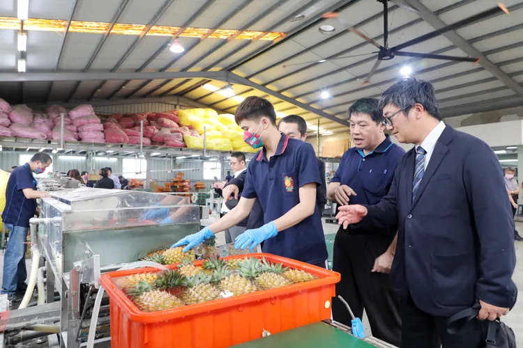 黃偉哲率隊視察集貨包裝流程。市府提供