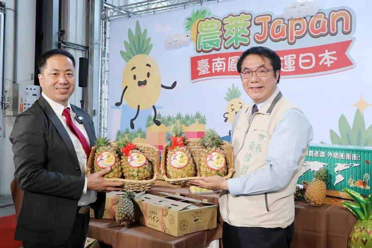 日本通路商永旺派員來台南，對鳳梨品質讚不絕口。市府提供