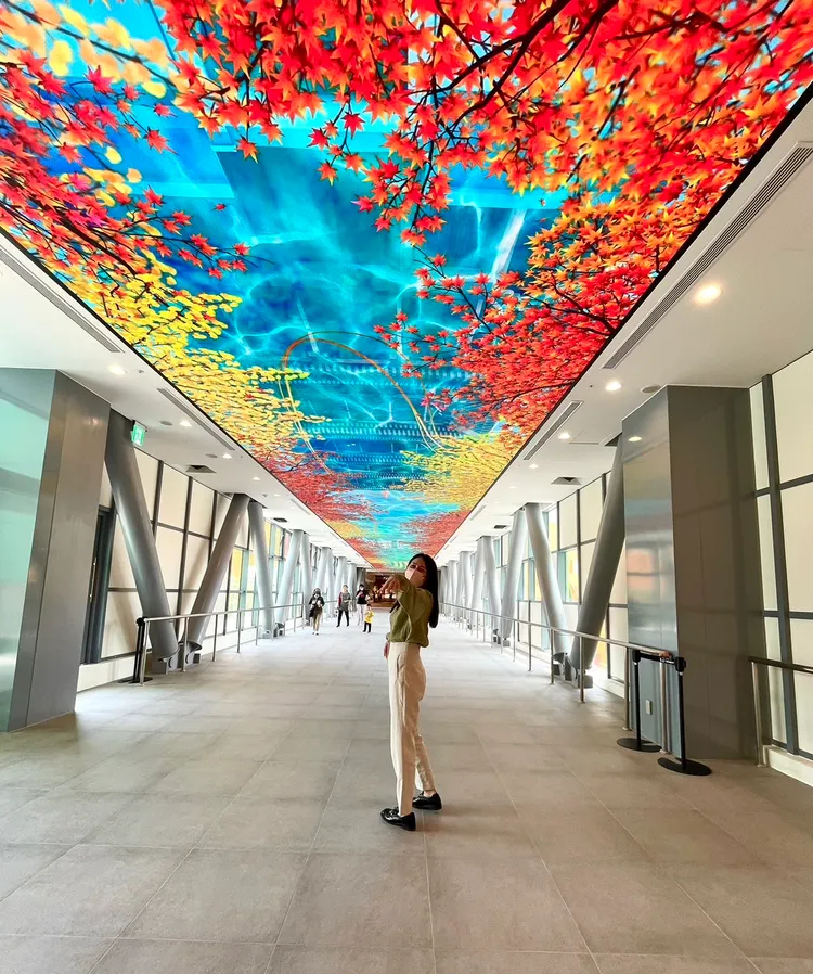 Mitsui Shopping Park LaLaport台中北館館內照。業者提供