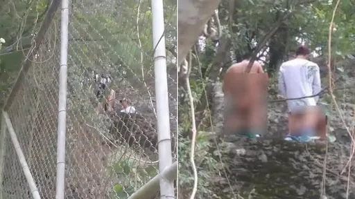 2男1女大白天「3P打野砲」不甩眾人目擊　地點還選孩童公園旁