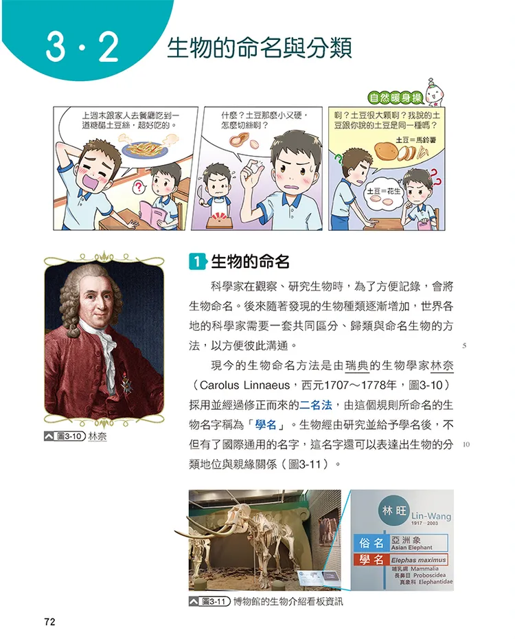 康軒教材中舉土豆與馬鈴薯惹議。取自康軒臉書