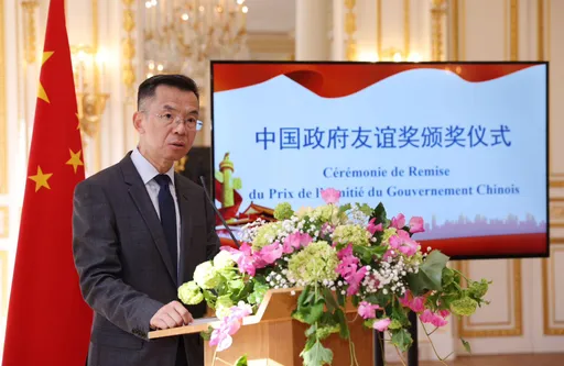 盧沙野一句話讓這些國家怒了! 綠委酸「展中國形象」:幫助台被世界看見
