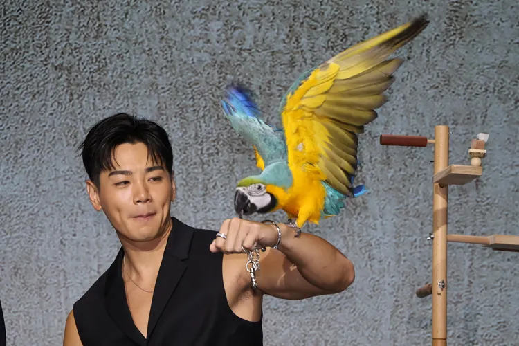 禾浩辰手上的鸚鵡差點走失。鄭孟晃攝