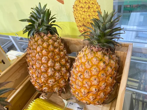 鳳梨品種多!甜度、產季都不一 挑選好吃的秘訣有3招