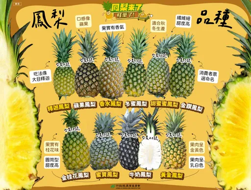 鳳梨盛產季節到 想吃怕「咬舌頭」怎辦?專家教5招減傷