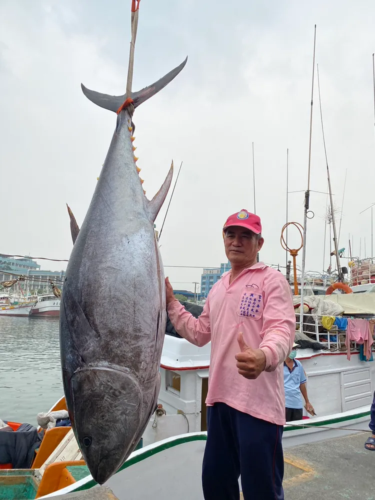 琉球籍漁船「新發財1號」在台灣恆春西南方海域捕獲一尾180公斤公黑鮪，為今年黑鮪魚季的「第一鮪」。讀者提供