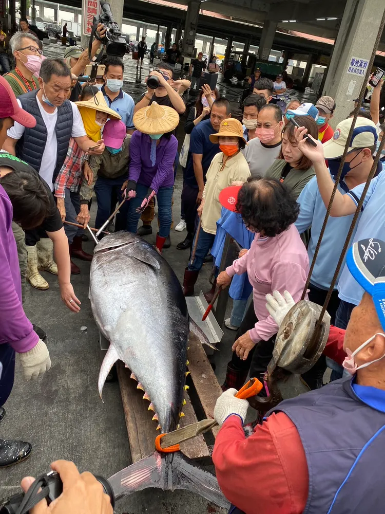 琉球籍漁船「新發財1號」在台灣恆春西南方海域捕獲一尾180公斤公黑鮪，為今年黑鮪魚季的「第一鮪」。讀者提供