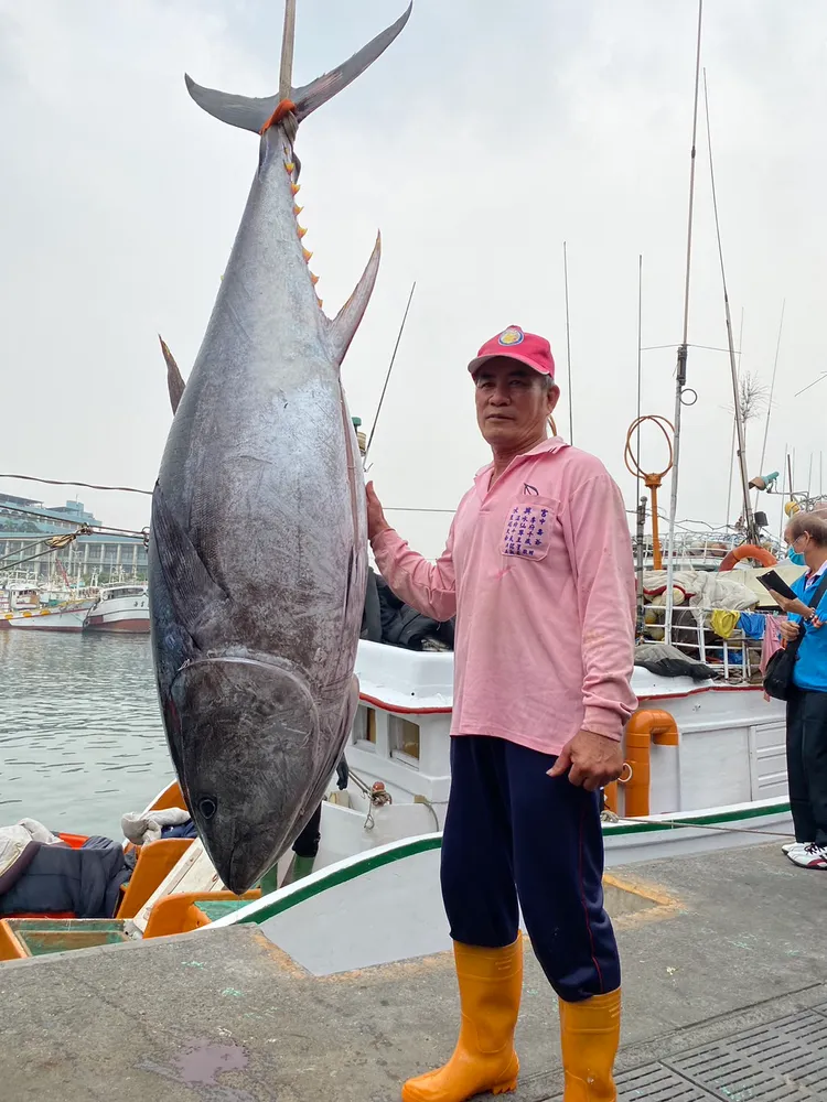 琉球籍漁船「新發財1號」在台灣恆春西南方海域捕獲一尾180公斤公黑鮪，為今年黑鮪魚季的「第一鮪」，讀者提供