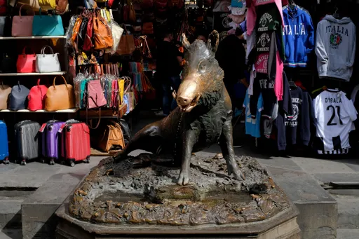 羅馬中年男狂奔躲野豬追趕 憂老弱婦嬬難逃一劫