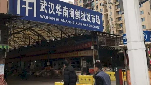 紐時:中國嚴審妨礙疫情溯源 「用盡手段營造抗疫成功形象」