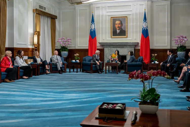 蔡英文於總統府接見訪問團。府提供