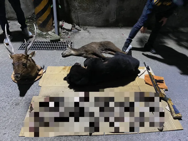 屏東霧台顏姓男子與其親友2年多內共獵殺4頭黑熊與水鹿等動物。讀者提供