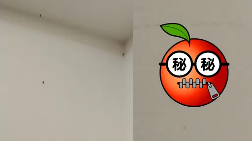 家裡出現「會動的水泥塊」超噁!繁衍很快還會吃衣服 內行人教一招讓牠滅絕