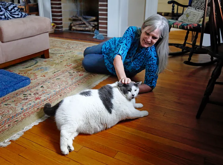 福特因巨貓而出名，接受多家媒體訪問。美聯社