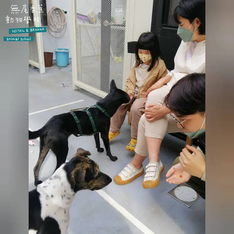 民眾可以到無尾香蕉動物學校體驗與動物相處。無尾香蕉動物學校提供