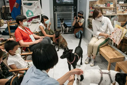 台灣之光！「動物教育服務」勇奪2023iF設計獎　無尾香蕉動物學校獲肯定